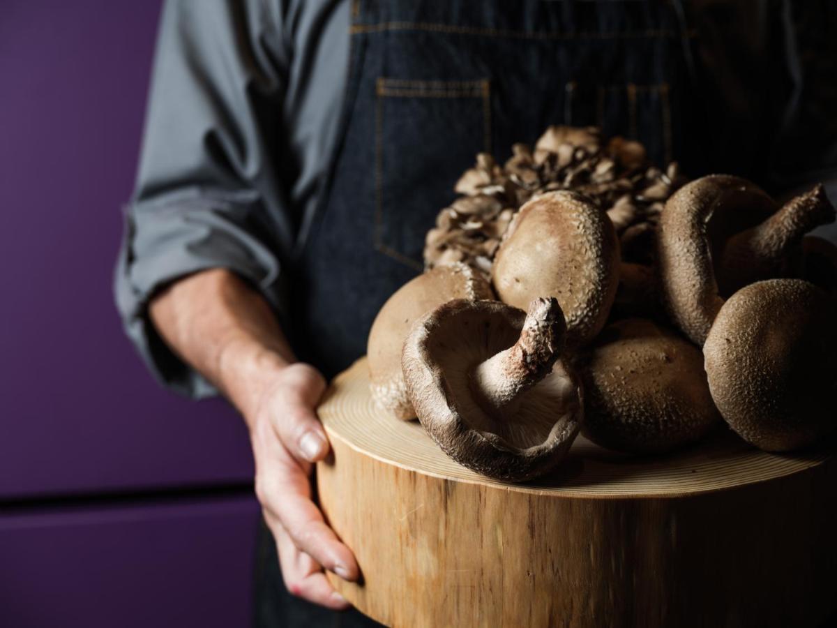 Hyatt Centric Канадзава Екстер'єр фото Shiitake mushrooms